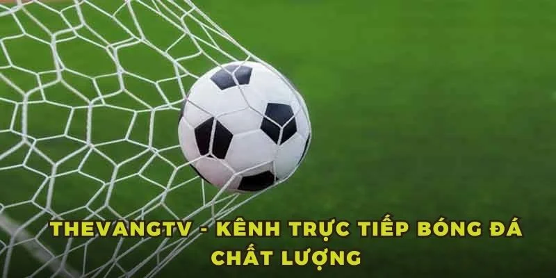 ThevangTV - Kênh trực tiếp bóng đá chất lượng