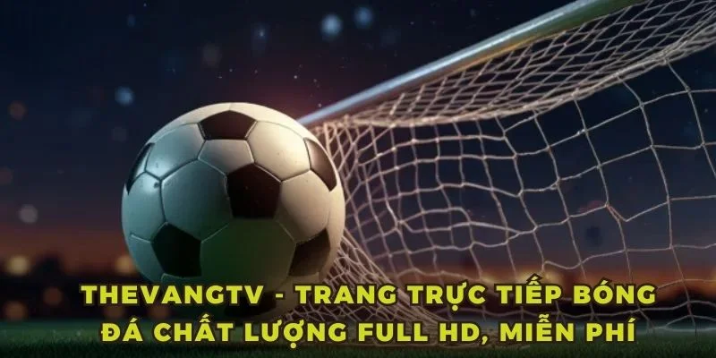 ThevangTV - Nền tảng trực tiếp bóng đá đa dạng dịch vụ
